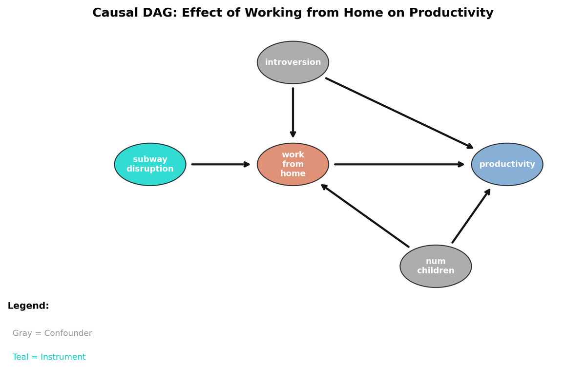 A Beginner's Guide to Causal Inference with DoWhy in Python | Carlos Mendez