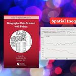 Spatial inequality dynamics