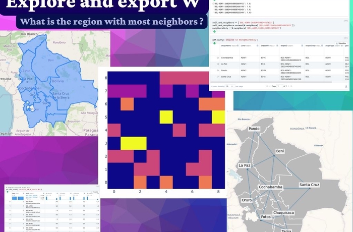 Construct and export spatial connectivity structures (W)