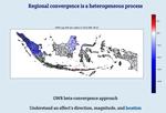 Regional disparities and heterogeneous convergence in Indonesia: A multiscale geographically weighted regression approach